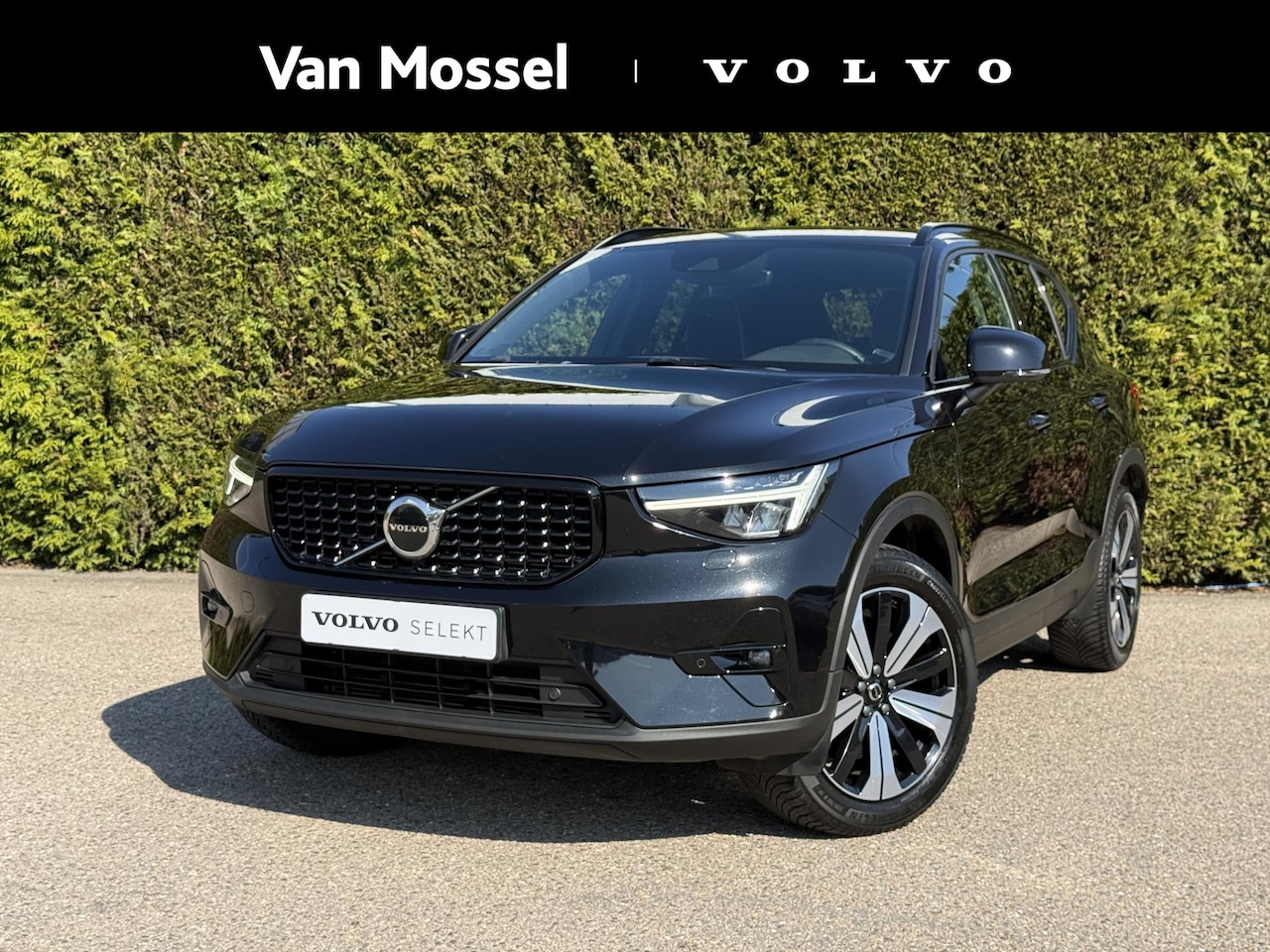 Volvo XC40 - T4 Plug-in hybrid Plus Dark | Trekhaak | H&K Audio | BLIS |  Elektr. stoel - AutoWereld.nl