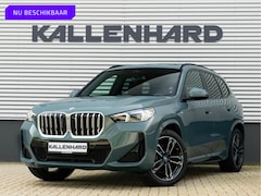 BMW X1 - xDrive25e - M-Sport - Pano - Trekhaak - 19 inch - Camera