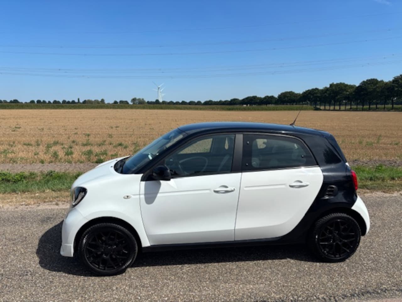 Smart Forfour - 1.0 Brabus Edition 5 deurs 16 "led 2015 Airco 83290 km !!! - AutoWereld.nl