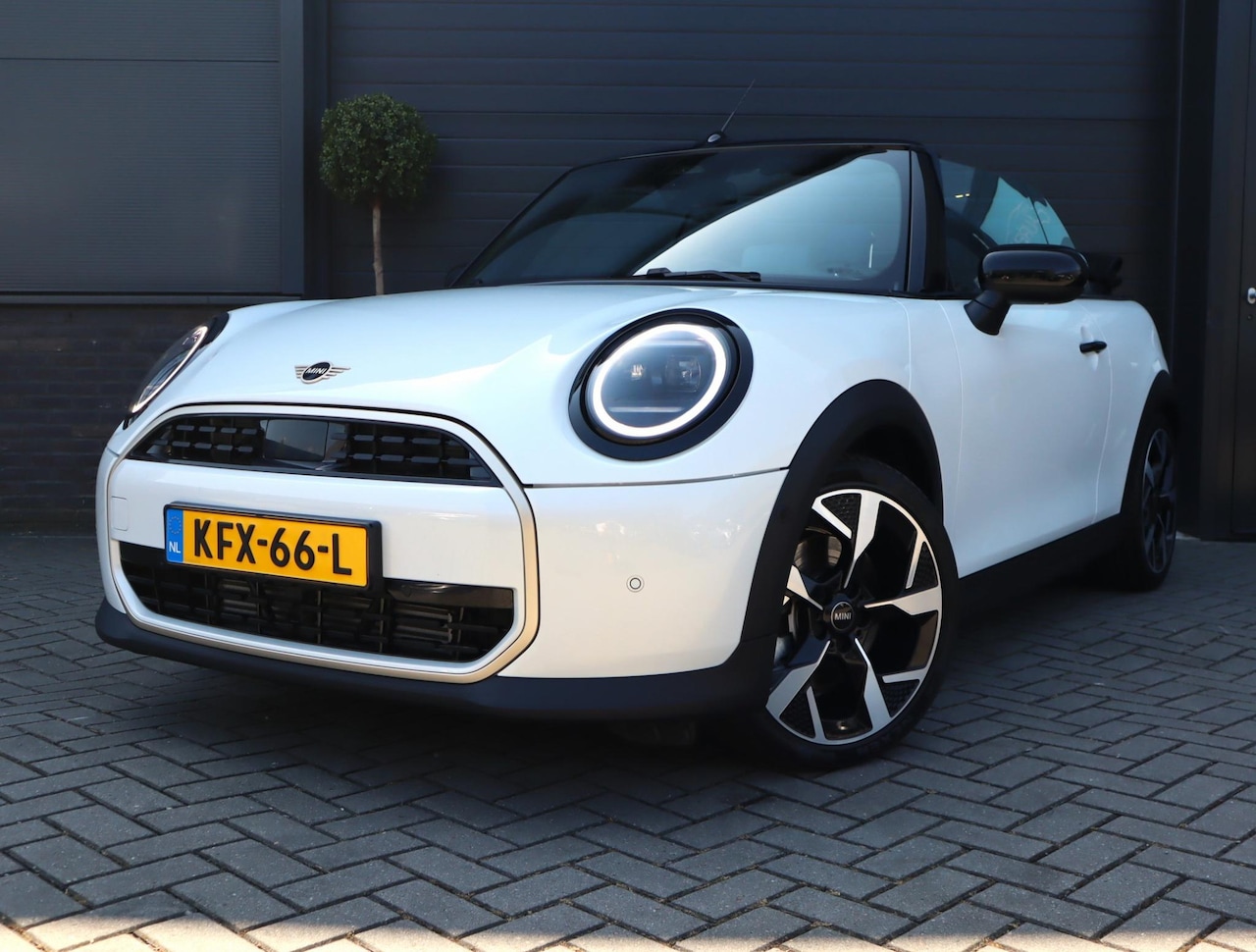 MINI Cabrio - 2.0 Cooper C Favoured | HUD | Camera | Carplay | Leer | Stoel en Stuurverwarming | 18 Inch - AutoWereld.nl