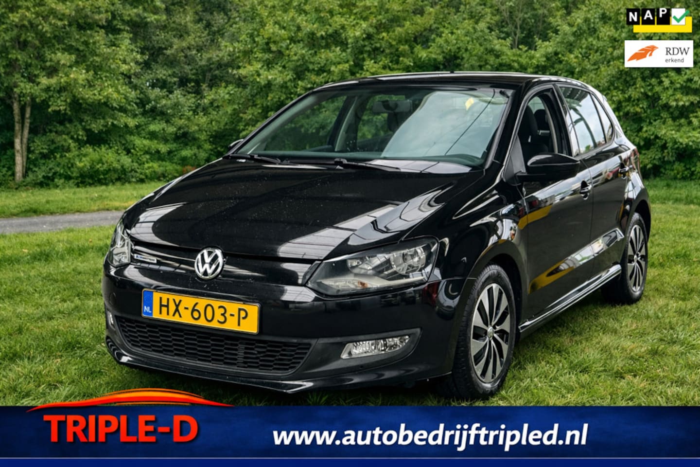 Volkswagen Polo - 1.0 BlueMotion Edition 1.0 BlueMotion Edition - AutoWereld.nl