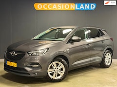 Opel Grandland X - 1.2 Turbo Online Edition|PDC|CRUISE|SFEER|CARPLAY|BLUETOOTH|17INCH|
