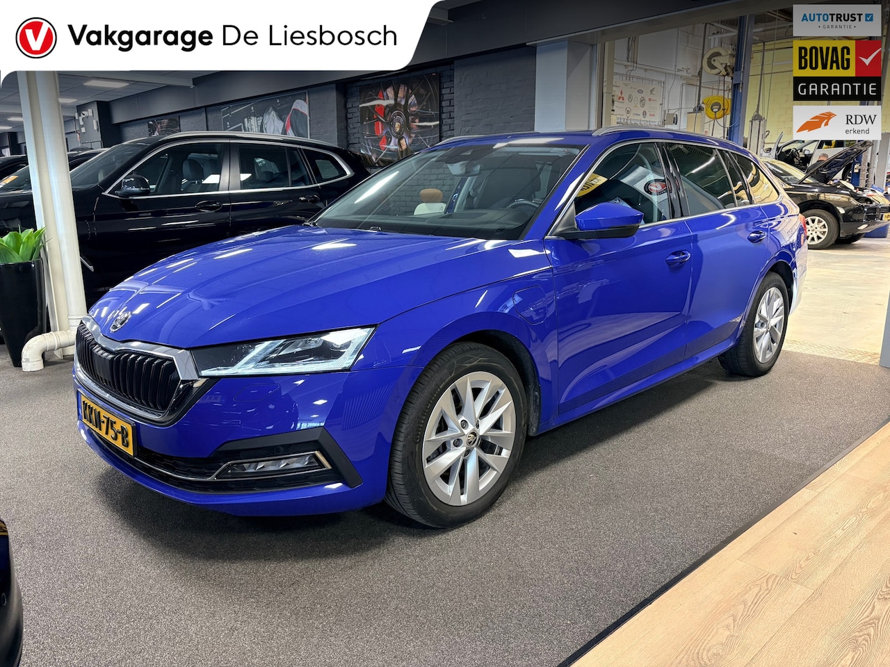 Skoda Octavia Combi - 1.4 TSI iV PHEV style Business / panoramadak / stoel + stuur verwarming / - AutoWereld.nl