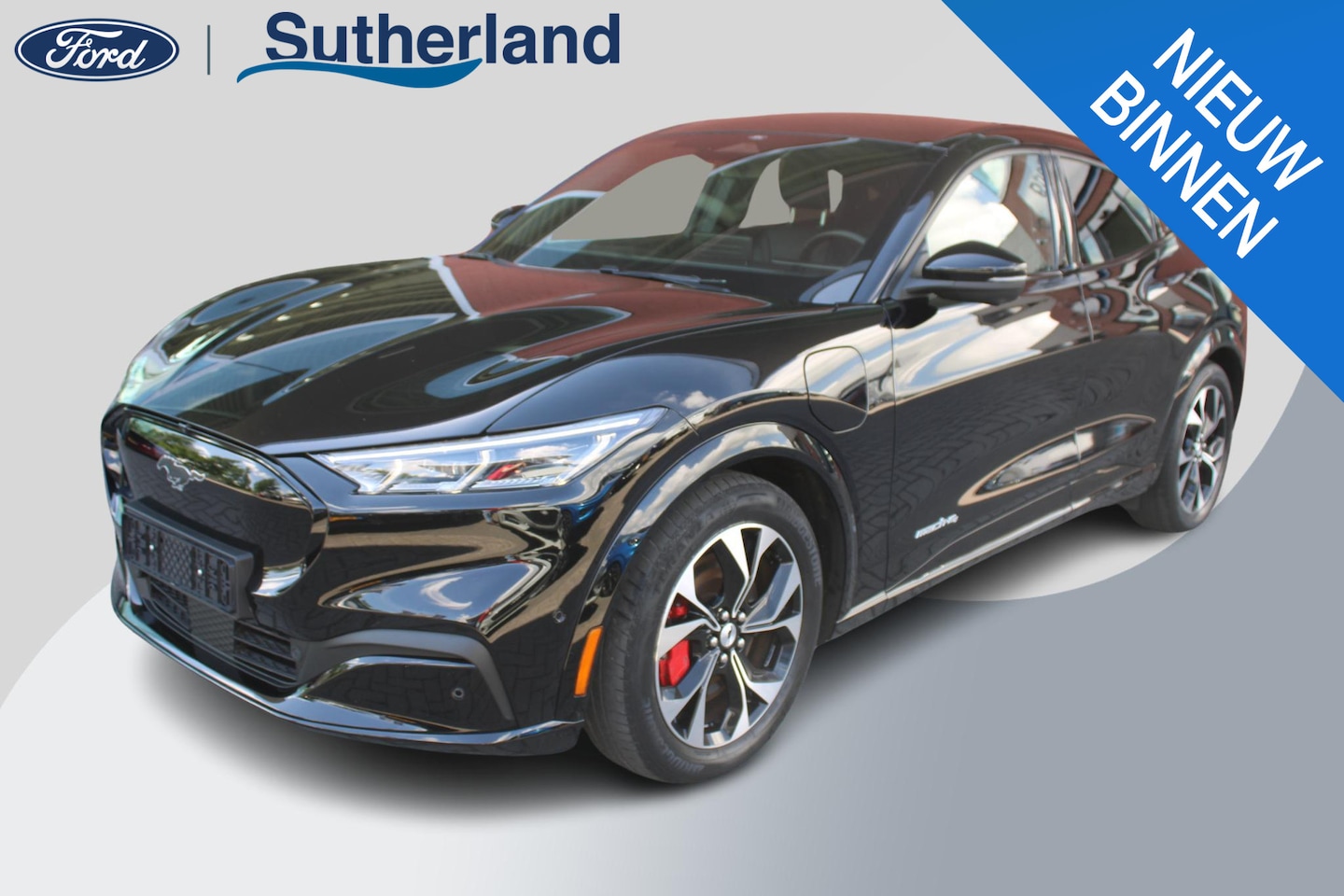 Ford Mustang Mach-E - Extended RWD 98 kWh | 60.000 KM | SOH 92,3 % | Adaptive Cruise Control | Winterpack - AutoWereld.nl