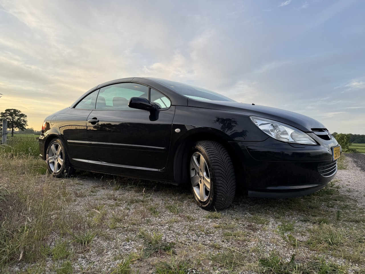 Peugeot 307 CC - 2.0-16V - AutoWereld.nl