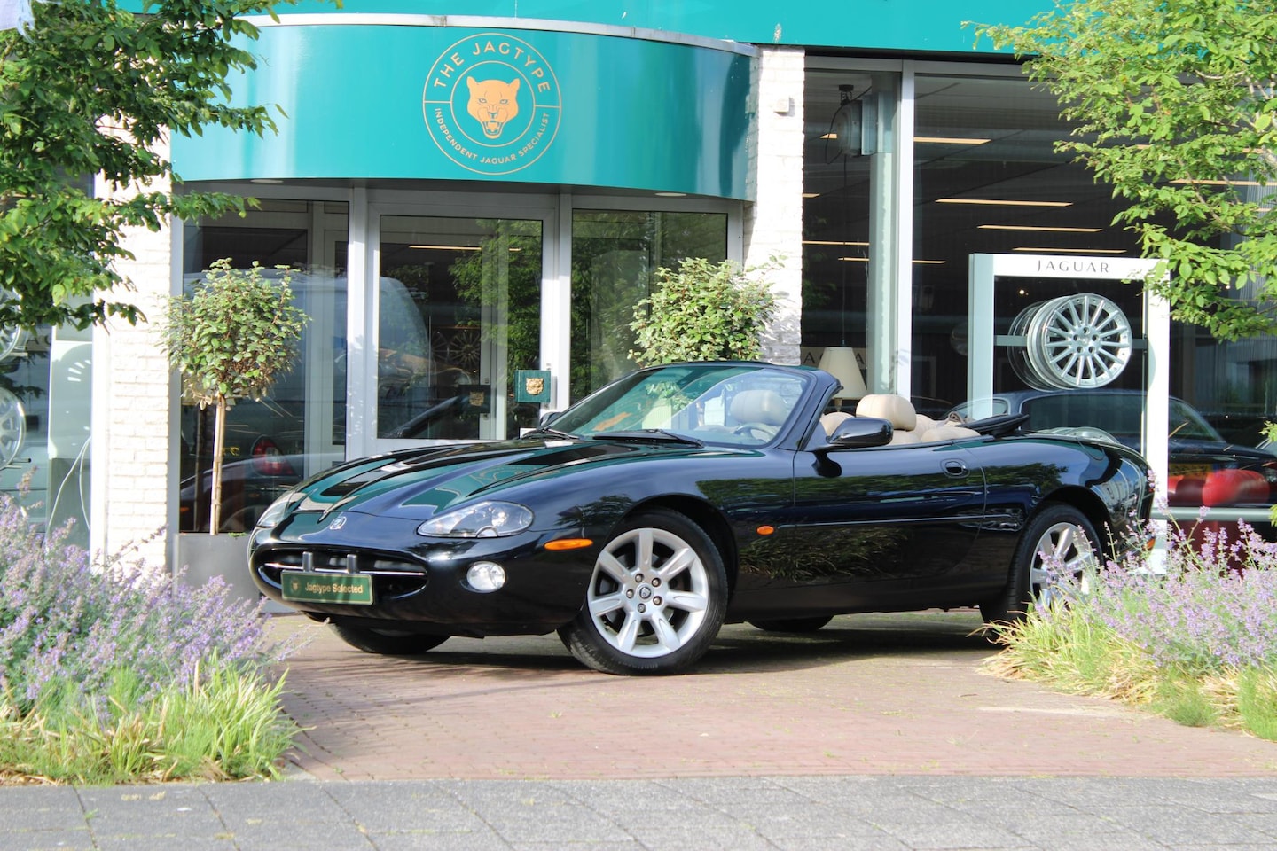 Jaguar XK8 - 4.2 V8 Convertible 4.2 V8 Convertible - AutoWereld.nl