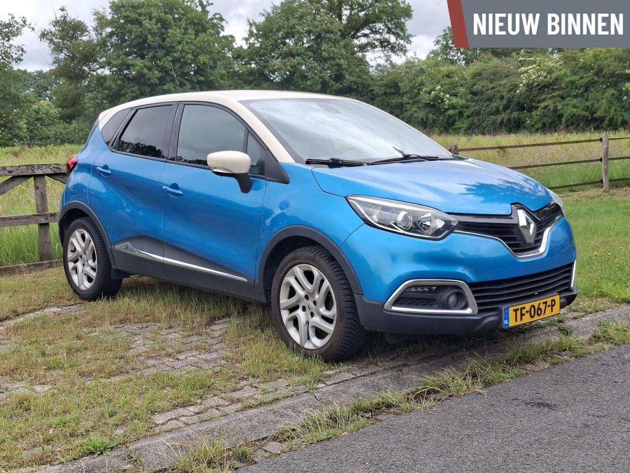 Renault Captur - 0.9 TCe Dynamique 0.9 TCe Dynamique (Navi/Clima/Cruise/Keyless) - AutoWereld.nl