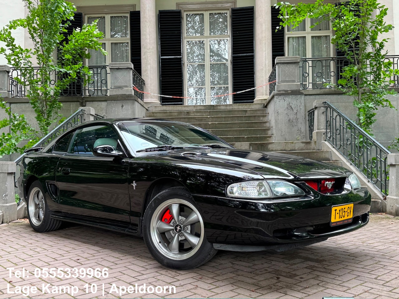 Ford Mustang - GT 4.6L V8 Automaat Perfecte Staat Leder Airco Camera Carplay - AutoWereld.nl