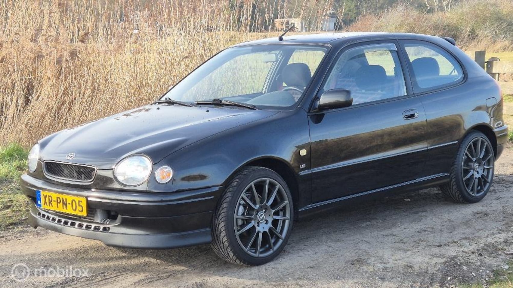 Toyota Corolla - G6R - AutoWereld.nl