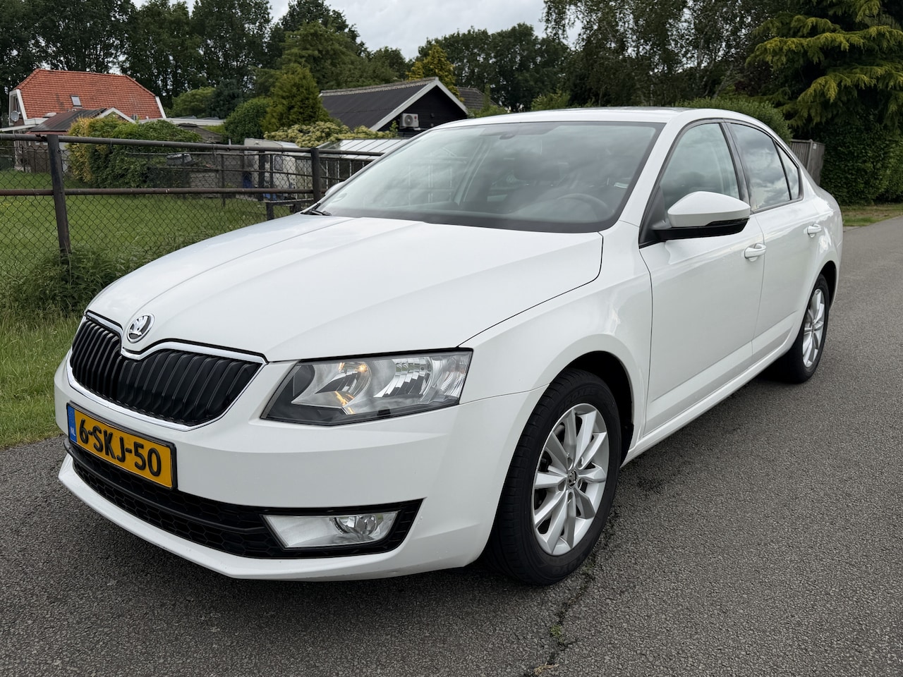 Skoda Octavia - 1.2 TSI Greentech Ambition Businessline ECC/NAVI/PDC - AutoWereld.nl