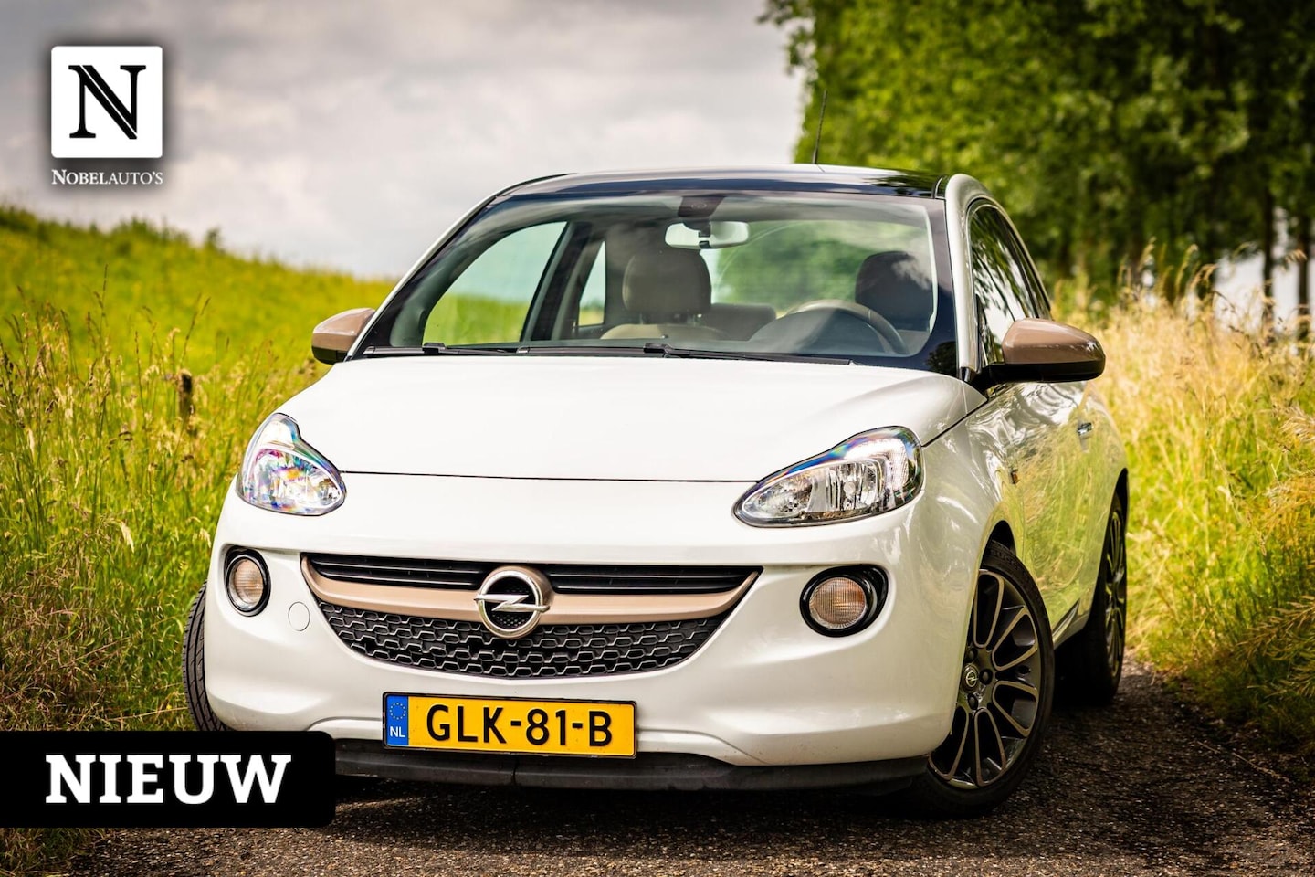 Opel ADAM - 1.4 Glam |Stuur/stoelverwarming |PDC |Glazen dakje - AutoWereld.nl