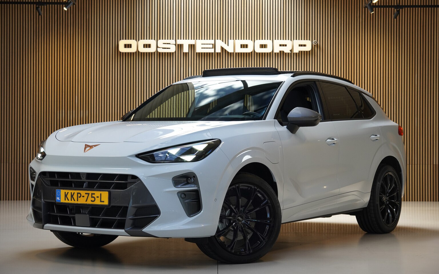 CUPRA Terramar - 1.5TSI/204pk e-Hybrid Adrenaline|2025|Panoramadak|Trekhaak|PDC+360camera+Assist|Cruise+ACC - AutoWereld.nl