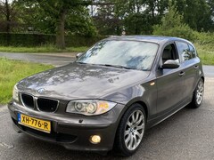 BMW 1-serie - leer stoelverwar 118 i Executive
