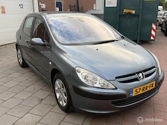 Peugeot 307 - 1.6-16V XS Premium
