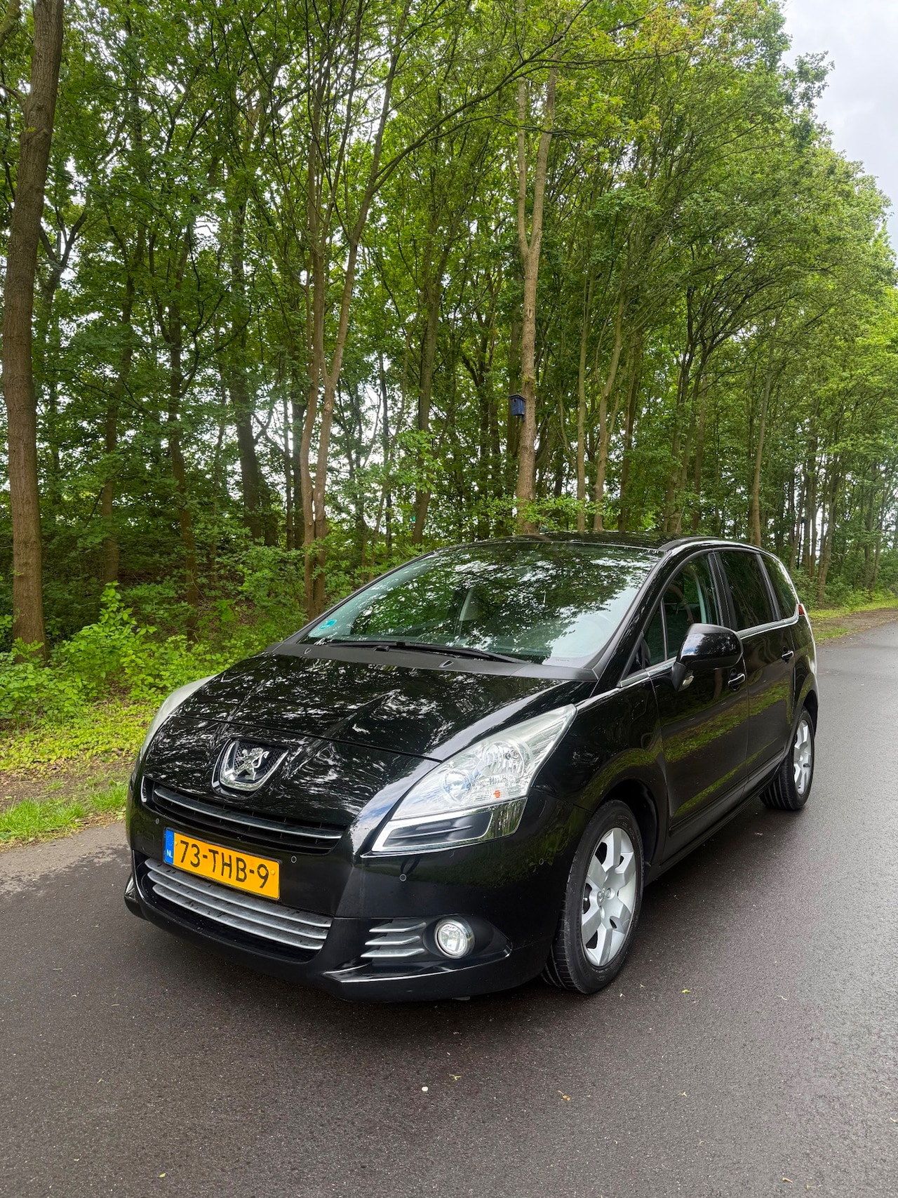 Peugeot 5008 - 1.6 VTi Blue Lease 7p. Nwe APK! - AutoWereld.nl