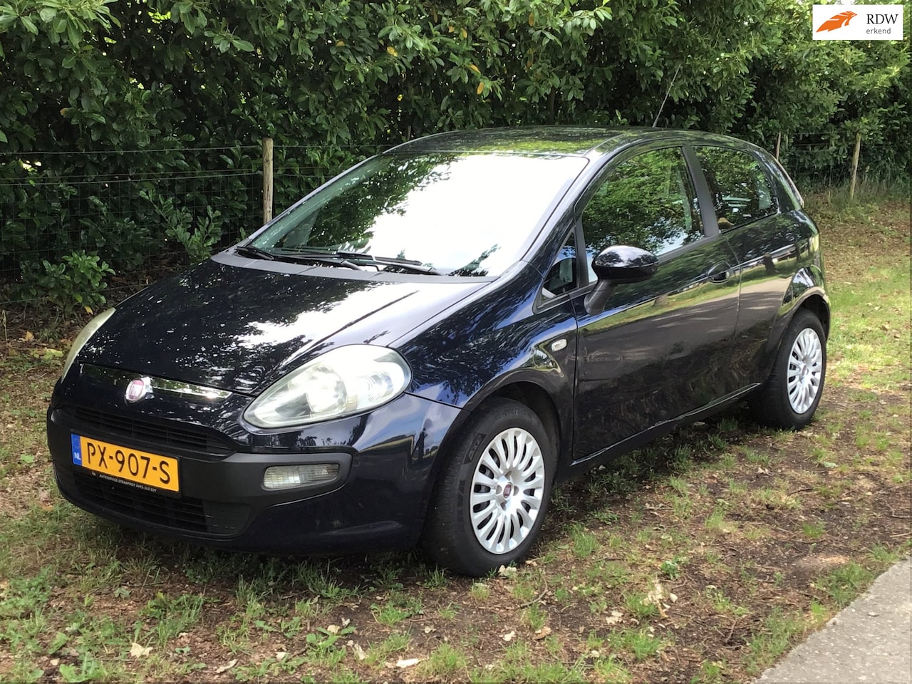 Fiat Punto Evo - 1.2 Pop met nieuwe APK en airco - AutoWereld.nl