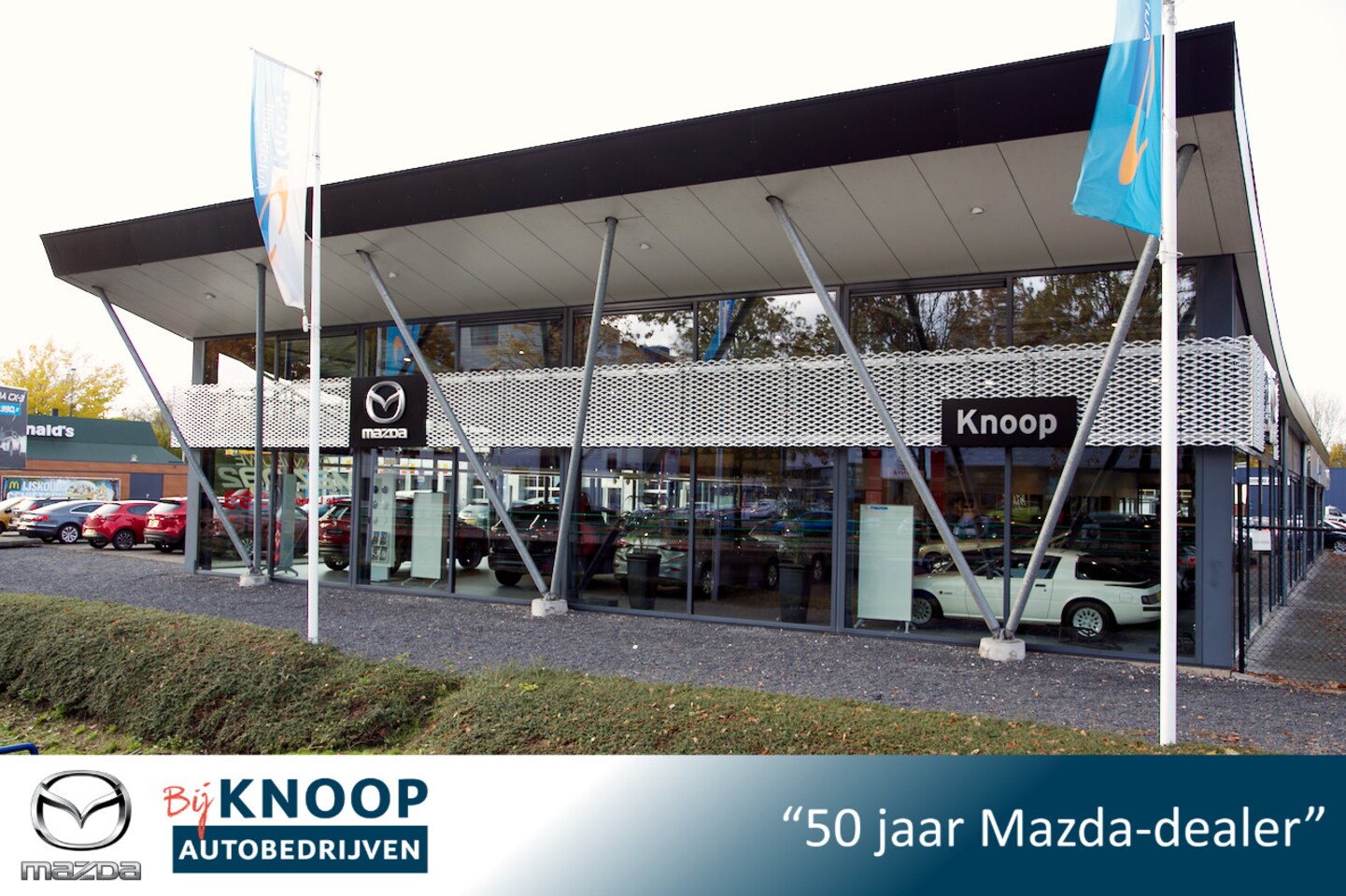 Mazda MX-30 - e-SkyActiv 145 Comfort 36 kWh |SOH 96% | Eerste eigenaar | Dealeronderhouden - AutoWereld.nl