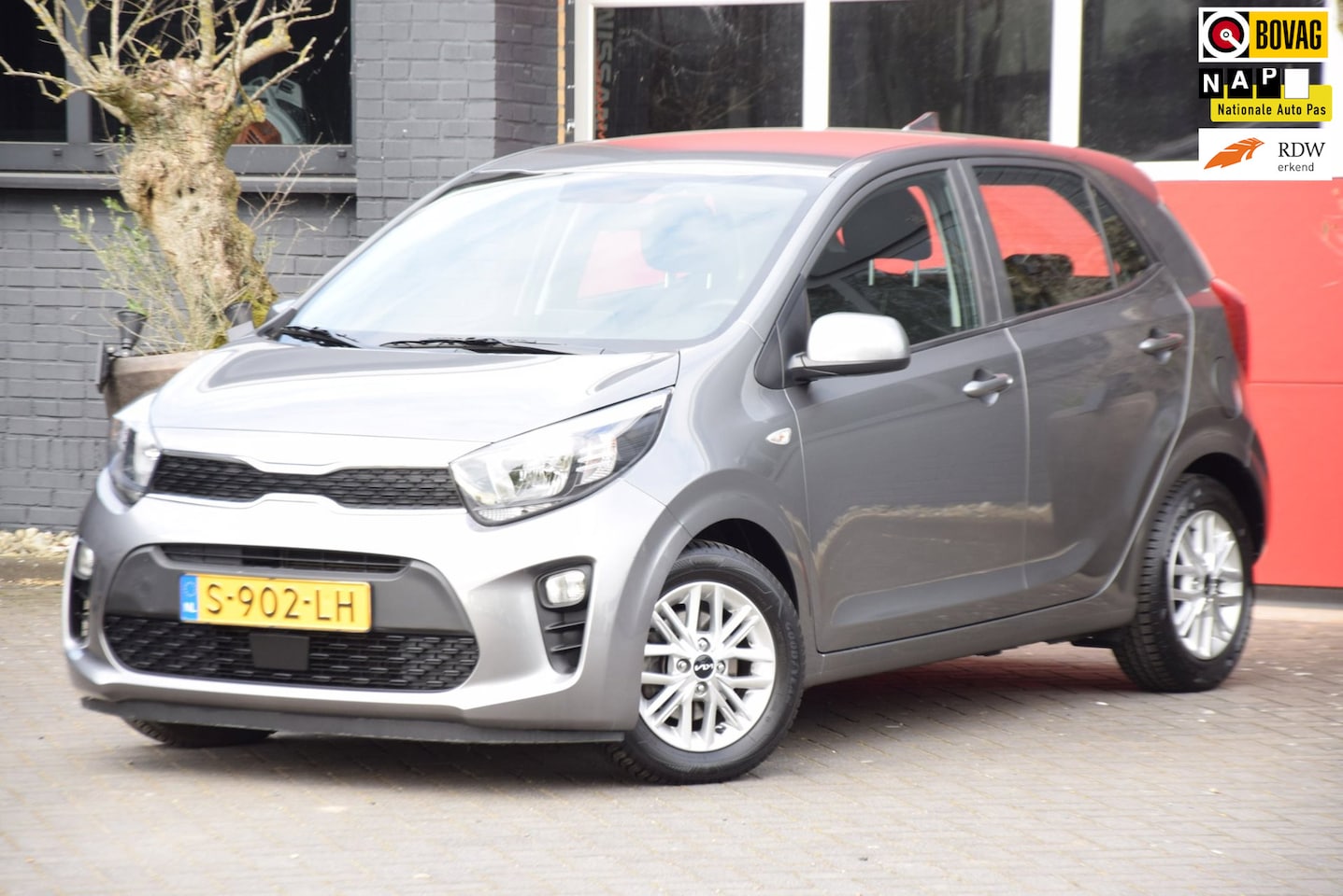 Kia Picanto - 1.0 DPi DynamicLine 2023 carplay navi Camera - AutoWereld.nl