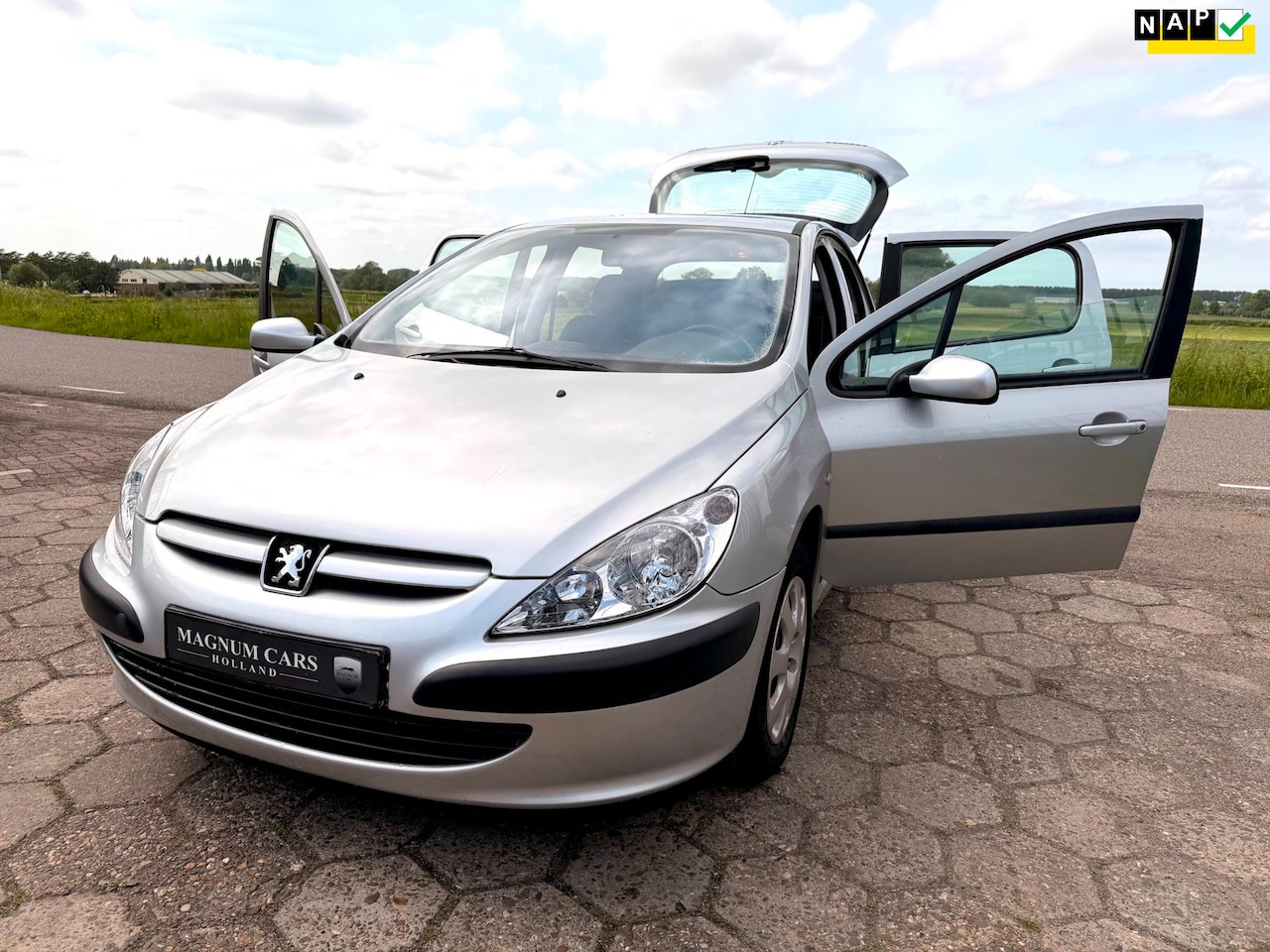 Peugeot 307 - 1.6-16V NAP 5drs AIRCO ELEK.RAMEN NIEUWE APK 1E EIGENAAR - AutoWereld.nl