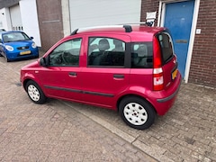 Fiat Panda - 1.2 Edizione Cool AIRCO&APK&NAP