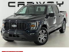 Ford F150 - USA V6 Ecoboost STX Sport Night Appearance Pack BPM-VRIJ