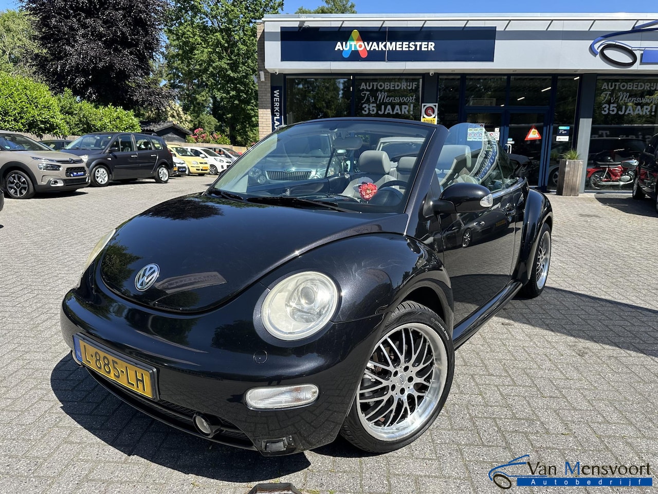Volkswagen New Beetle Cabriolet - 1.8 5V Turbo Highline Uniek!|Leder|Xenon|Airco|Elek.kap - AutoWereld.nl