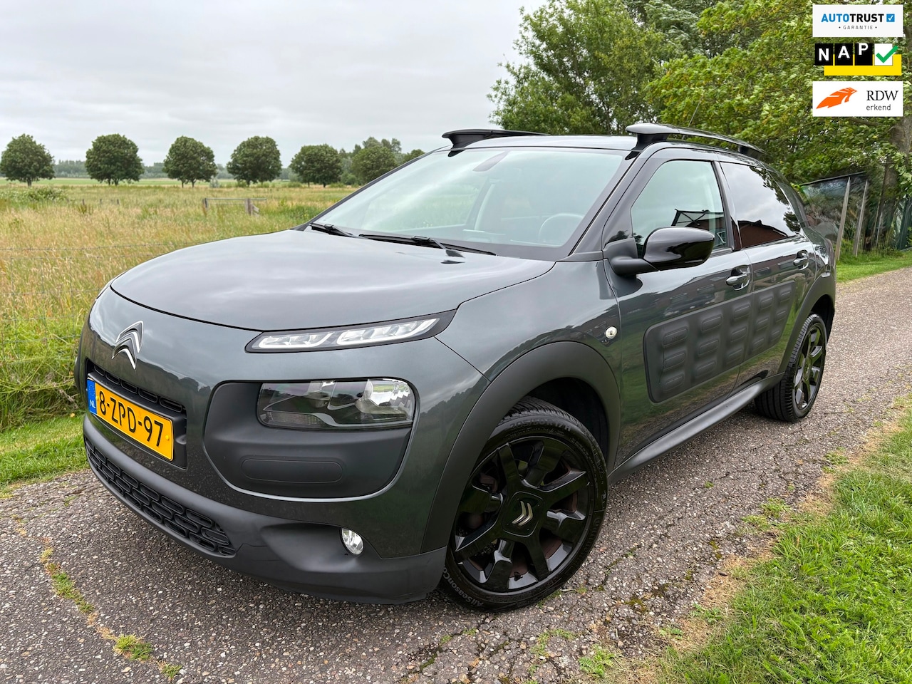 Citroën C4 Cactus - 1.2 e-VTi Shine|AUT|Achteruitrijcamera|Nw Distributie - AutoWereld.nl
