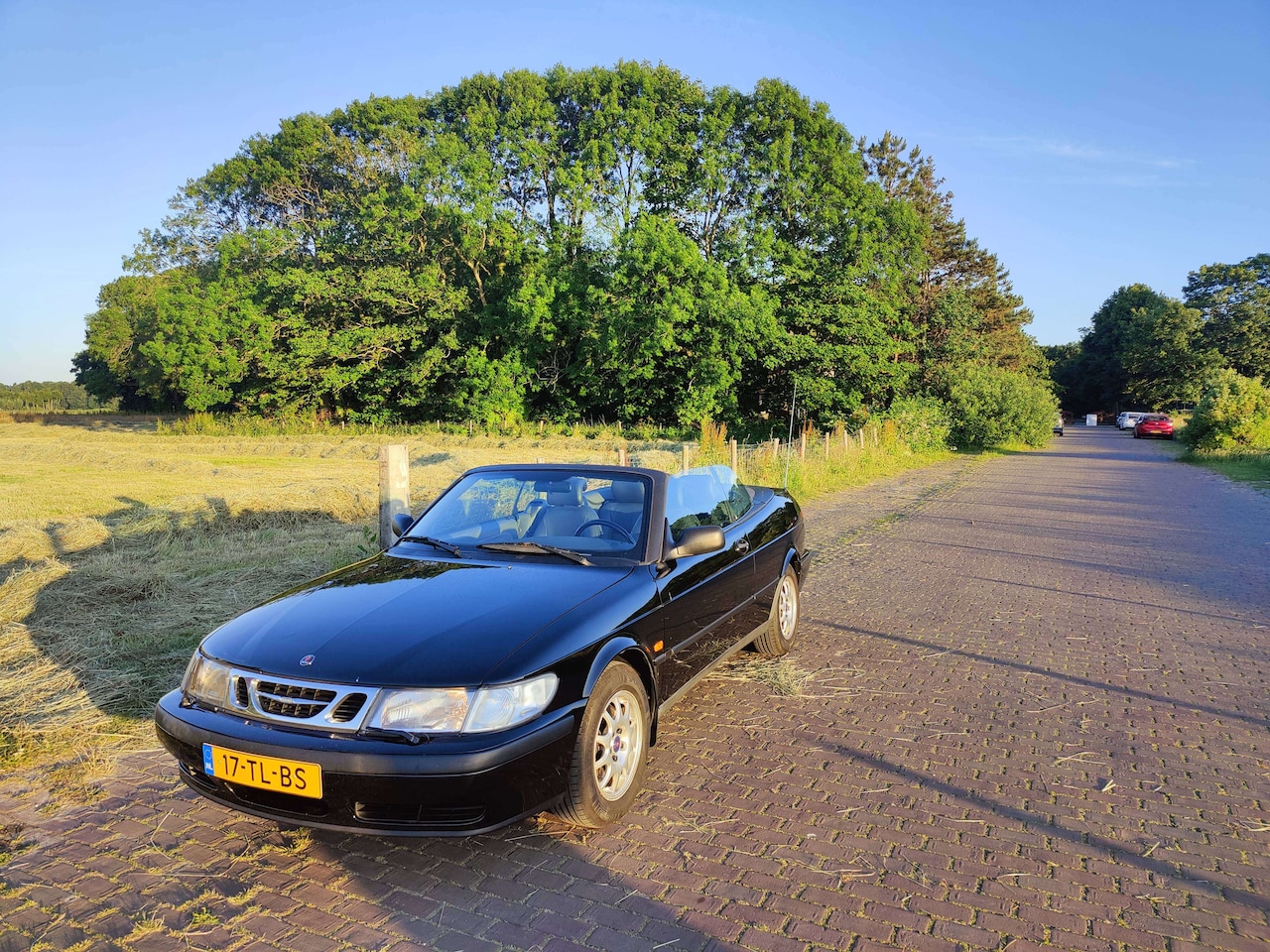 Saab 9-3 Cabrio - 2.0 SE - AutoWereld.nl
