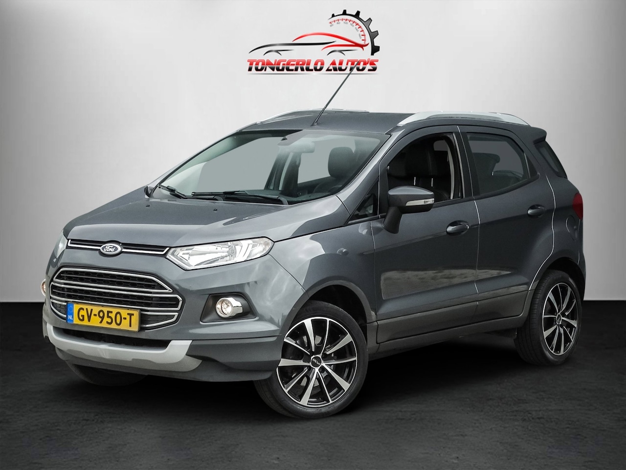 Ford EcoSport - 1.0 EcoBoost Titanium Cruise Pdc Clima Lm keyless - AutoWereld.nl