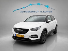 Opel Grandland X - 1.2 Turbo Bns Ed. | Cruise | Apple Carplay/Android Auto |