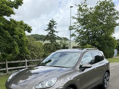 Porsche Cayenne - 4.2D / 2014 / ACC / Panoramadak /