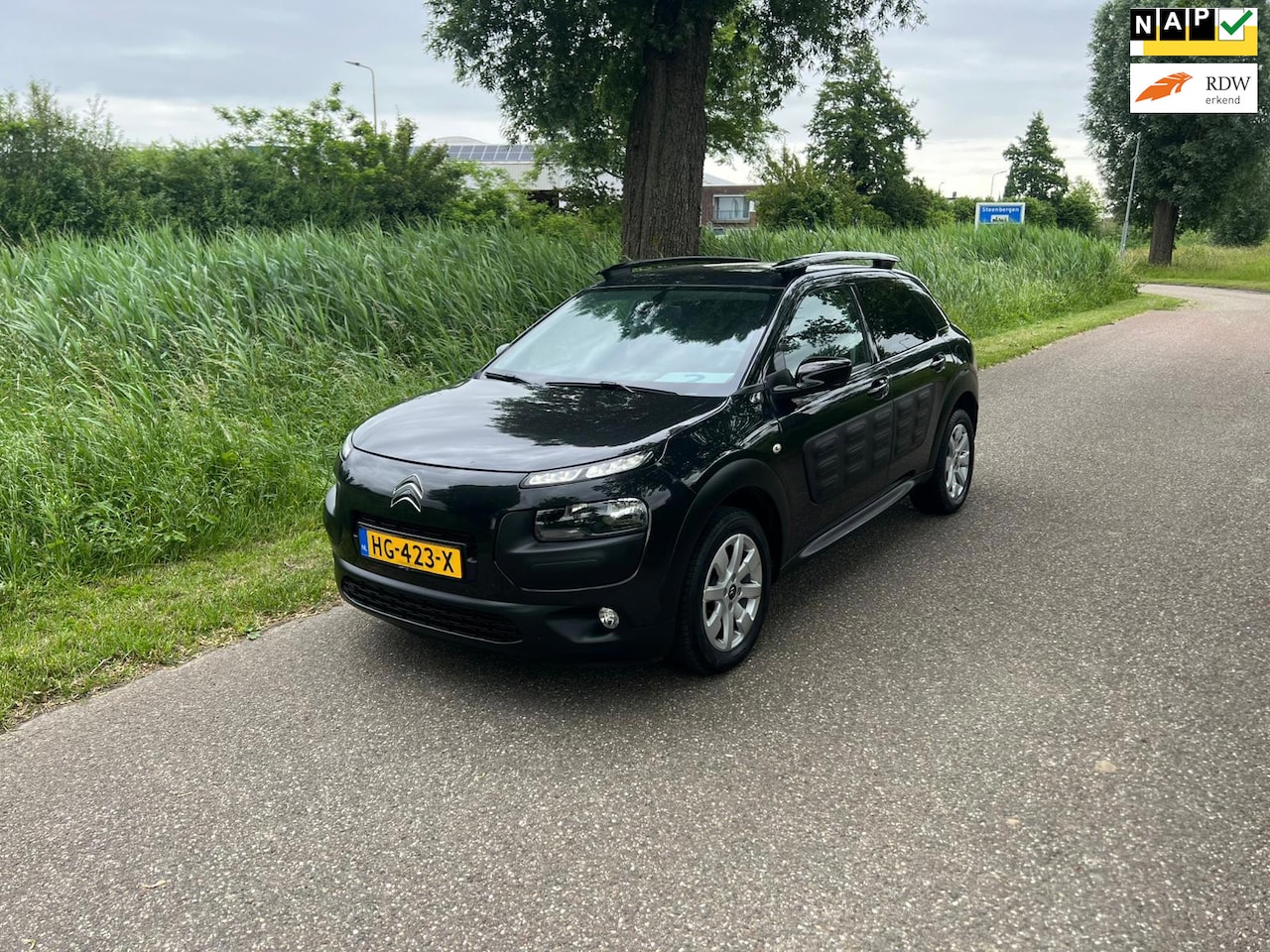 Citroën C4 Cactus - 1.2 PureTech Business Airco Navi Cruise Trekhaak Pdc - AutoWereld.nl