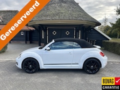 Volkswagen Beetle Cabriolet - 1.2 TSI Design BlueMotion Cup 18 Lm Clima Cruise Pdc Stoelverwarming