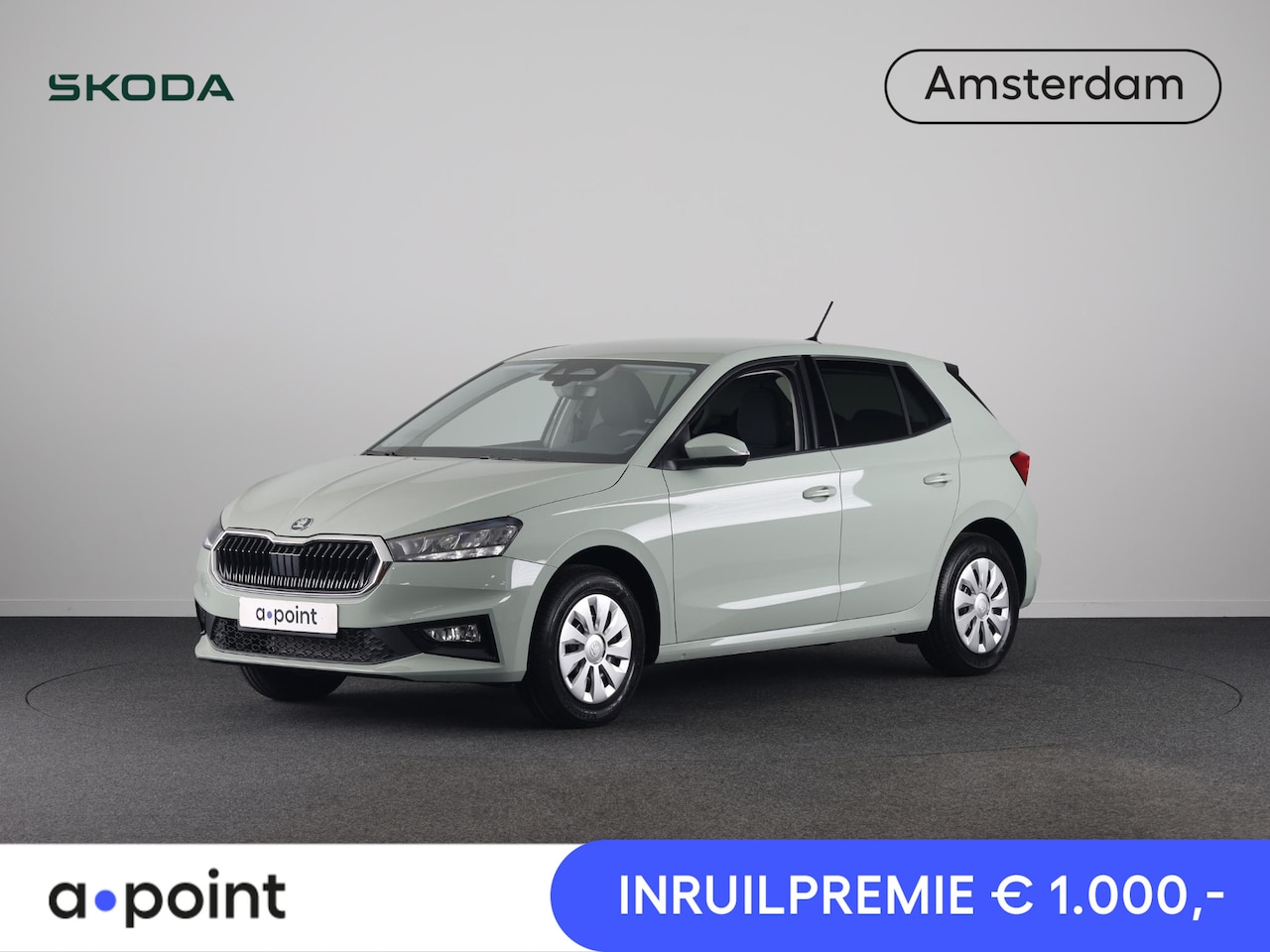Skoda Fabia - Selection 1.0 TSI 95 pk 5 vesn. Hand | Getint glas achter - AutoWereld.nl