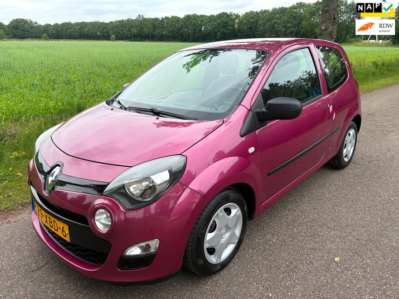 Renault Twingo - 1.2 16V Authentique 1ste Eigenaar/Cruise/Rijdt perfect/Zuinig - AutoWereld.nl