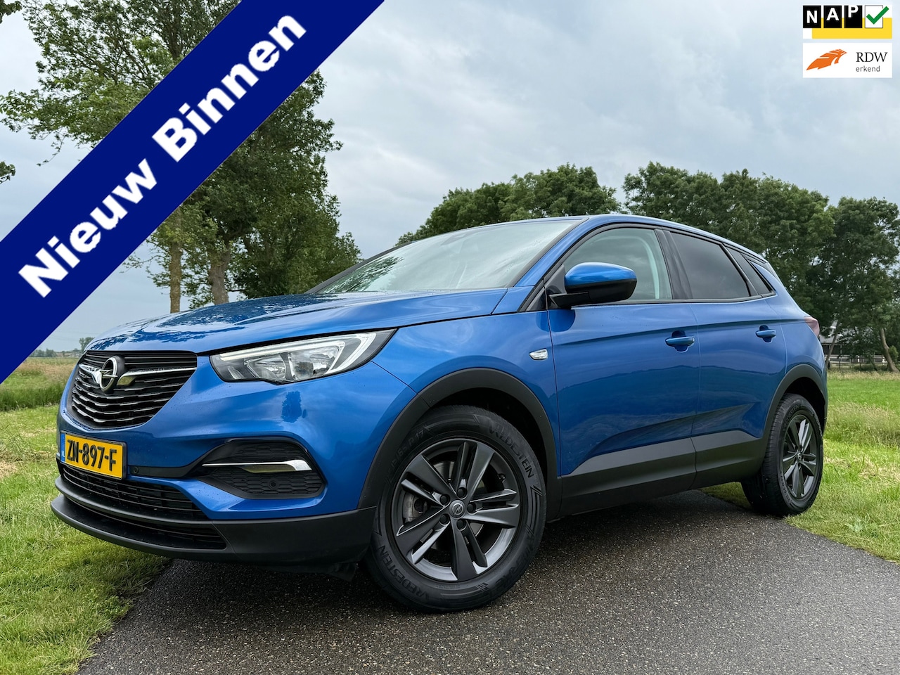 Opel Grandland X - 1.2 Turbo 120 Jaar Edition Automaat | 1e Eigenaar | Apple CarPlay-Android Auto | Camera | - AutoWereld.nl
