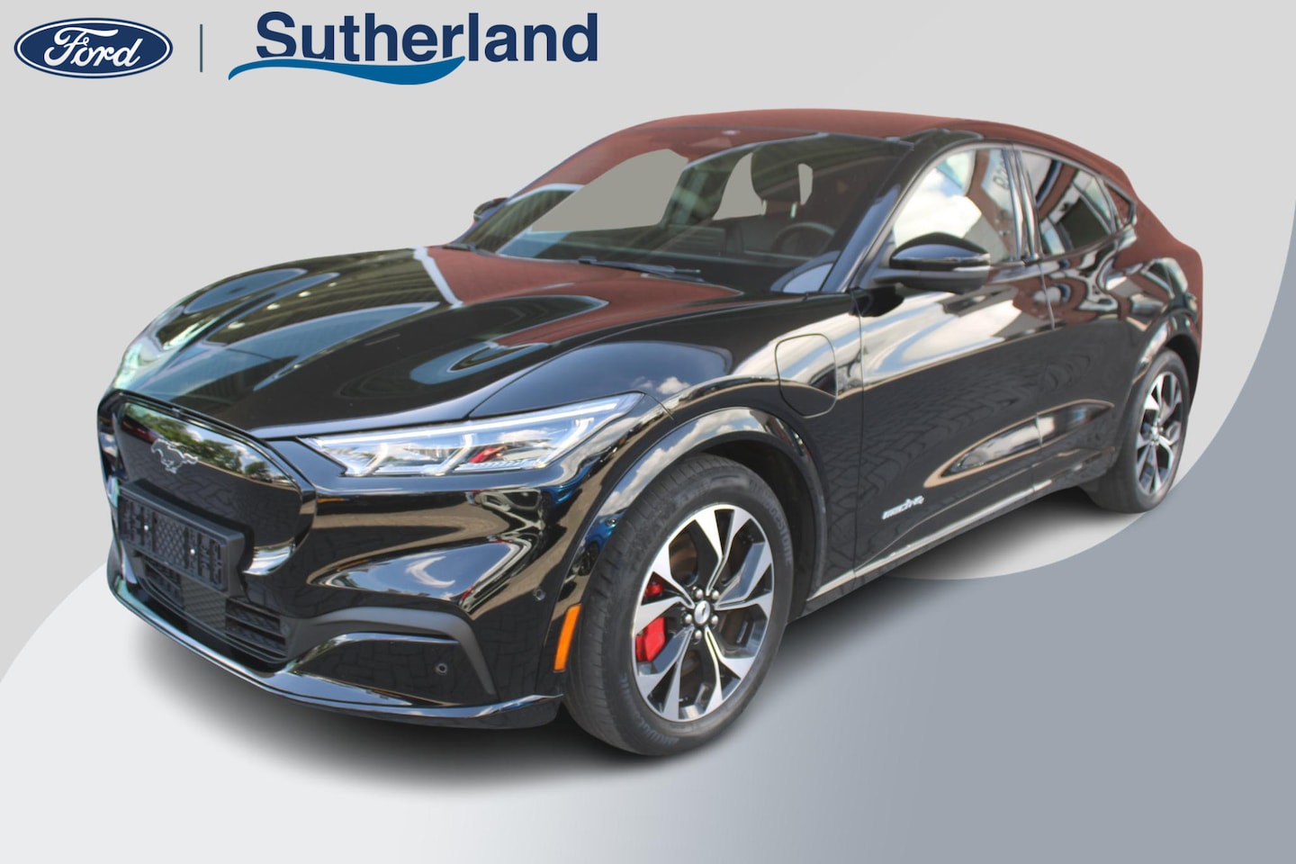 Ford Mustang Mach-E - Extended RWD 98 kWh | 60.000 KM | SOH 92,3 % | Adaptive Cruise Control | Winterpack - AutoWereld.nl