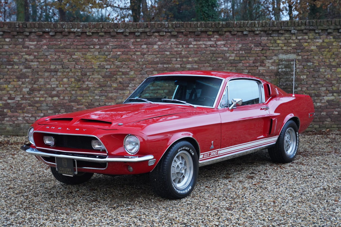 Ford Mustang - Shelby GT350 An icon among classic American muscle cars, SAAC Shelby registry confirmed au - AutoWereld.nl