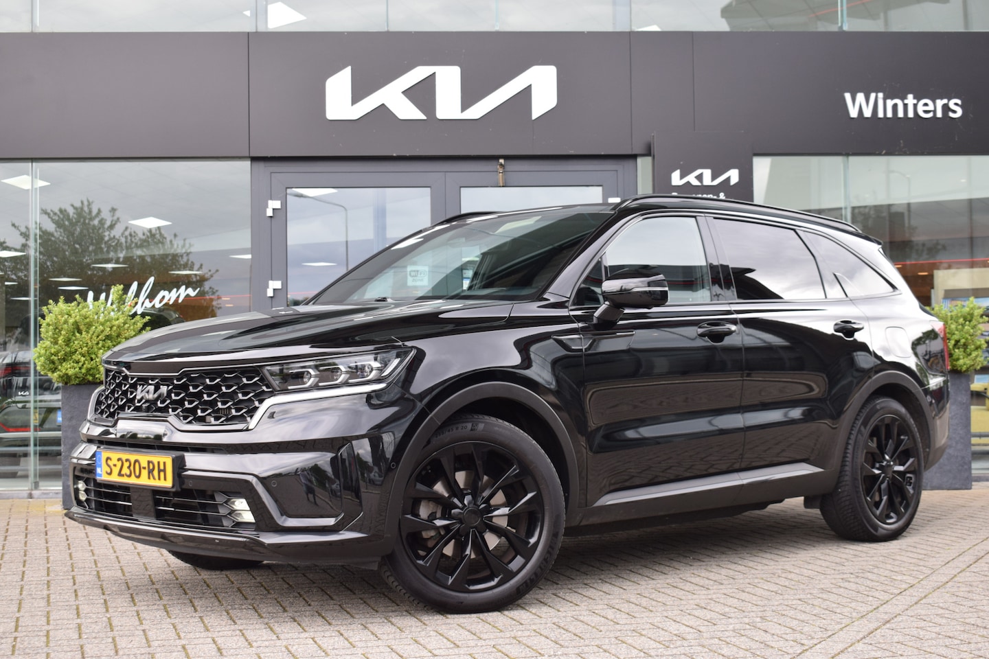 Kia Sorento - 1.6 T-GDI Hybrid 2WD ExecutiveLine 5p. | Memory | 360° camera | Schuif/ Kanteldak | Stoelv - AutoWereld.nl