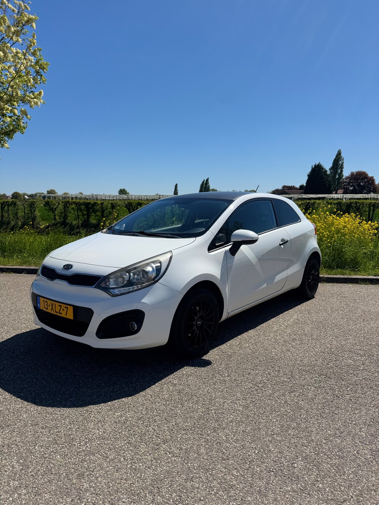Kia Rio - 1.2 CVVT Plus Pack Sport - AutoWereld.nl