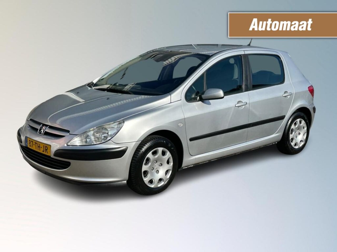 Peugeot 307 - 1.6-16V XT  AUTOMAAT - AutoWereld.nl