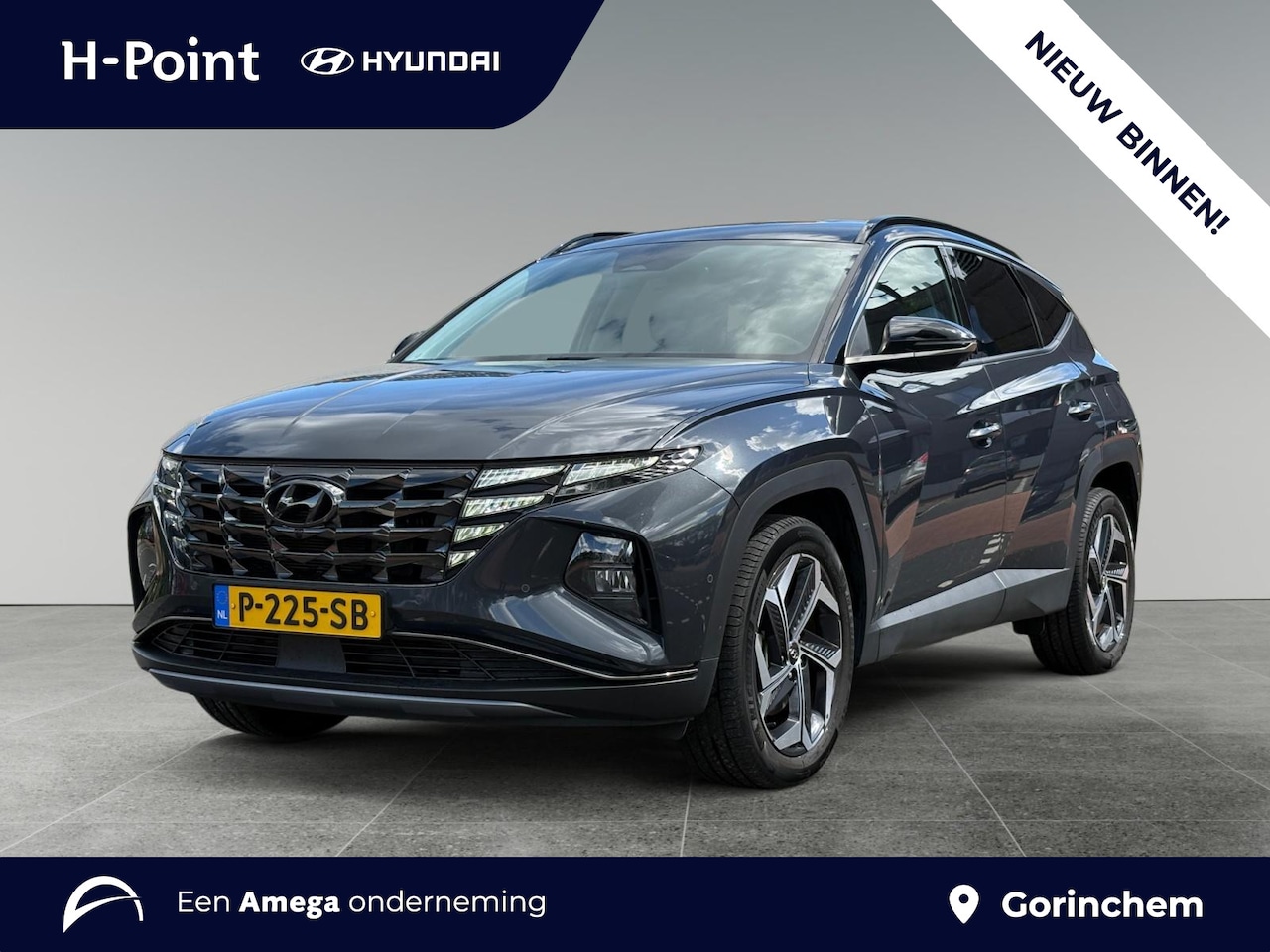 Hyundai Tucson - 1.6 T-GDI 230pk HEV Premium | LEDEREN BEKLEDING | BLIND SPOT CAMERA | APPLE CARPLAY / ANDR - AutoWereld.nl
