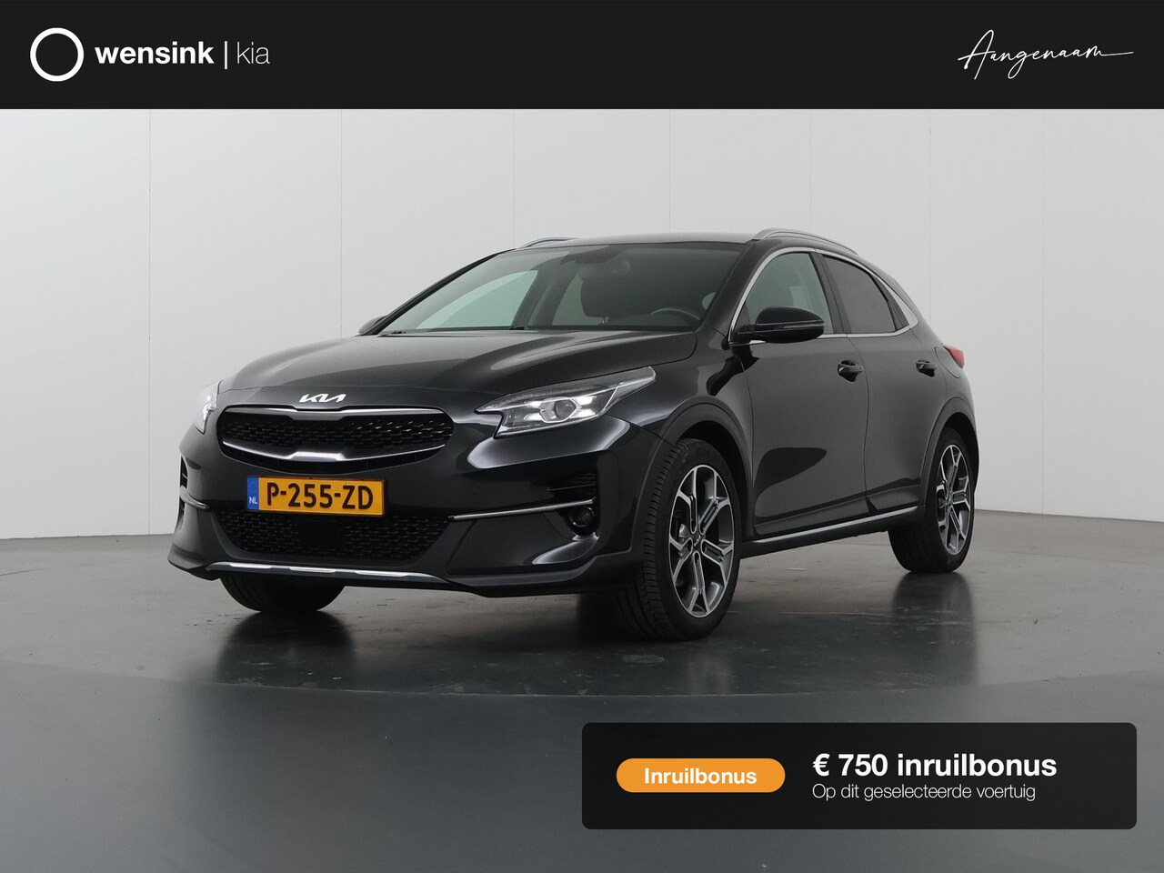 Kia XCeed - 1.5 T-GDI MHEV DynamicPlusLine | Stoel/Stuurwielverwarming | Dodehoek Detectie  | Keyless - AutoWereld.nl