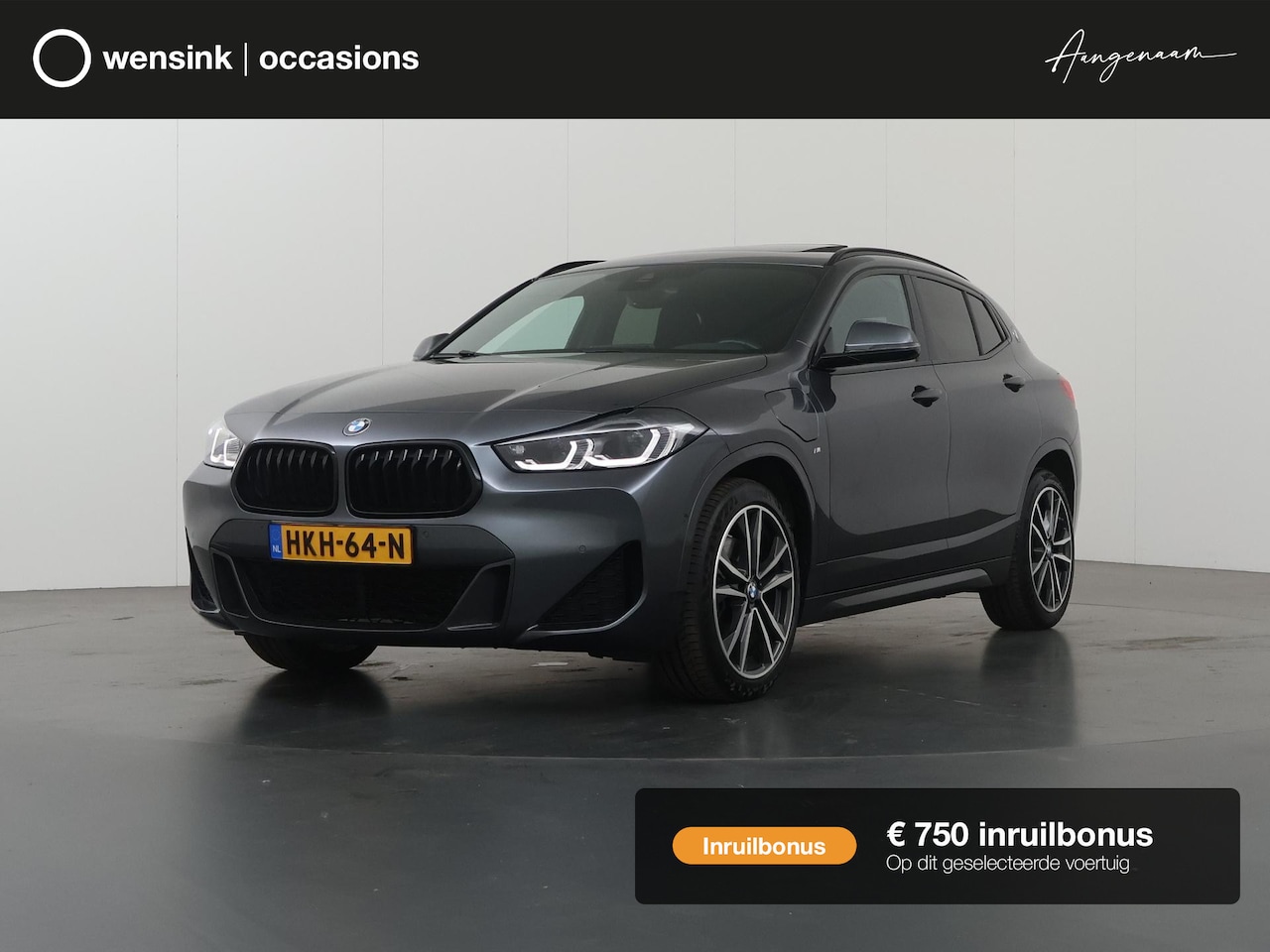 BMW X2 - xDrive25e High Executive | M-Pakket | Panoramadak | Sportstoelen | HUD | M-Sportstoelen El - AutoWereld.nl