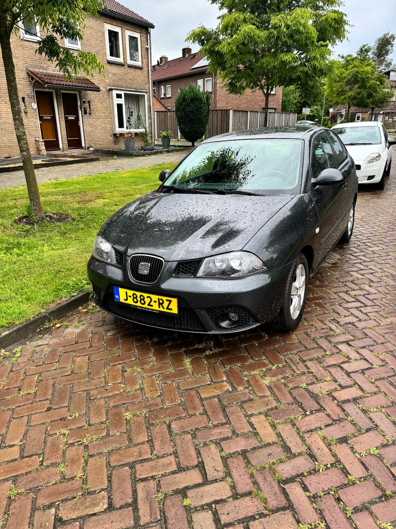 SEAT Ibiza - 1.4-16V 25 Edition I - AutoWereld.nl