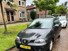 SEAT Ibiza - 1.4-16V 25 Edition I