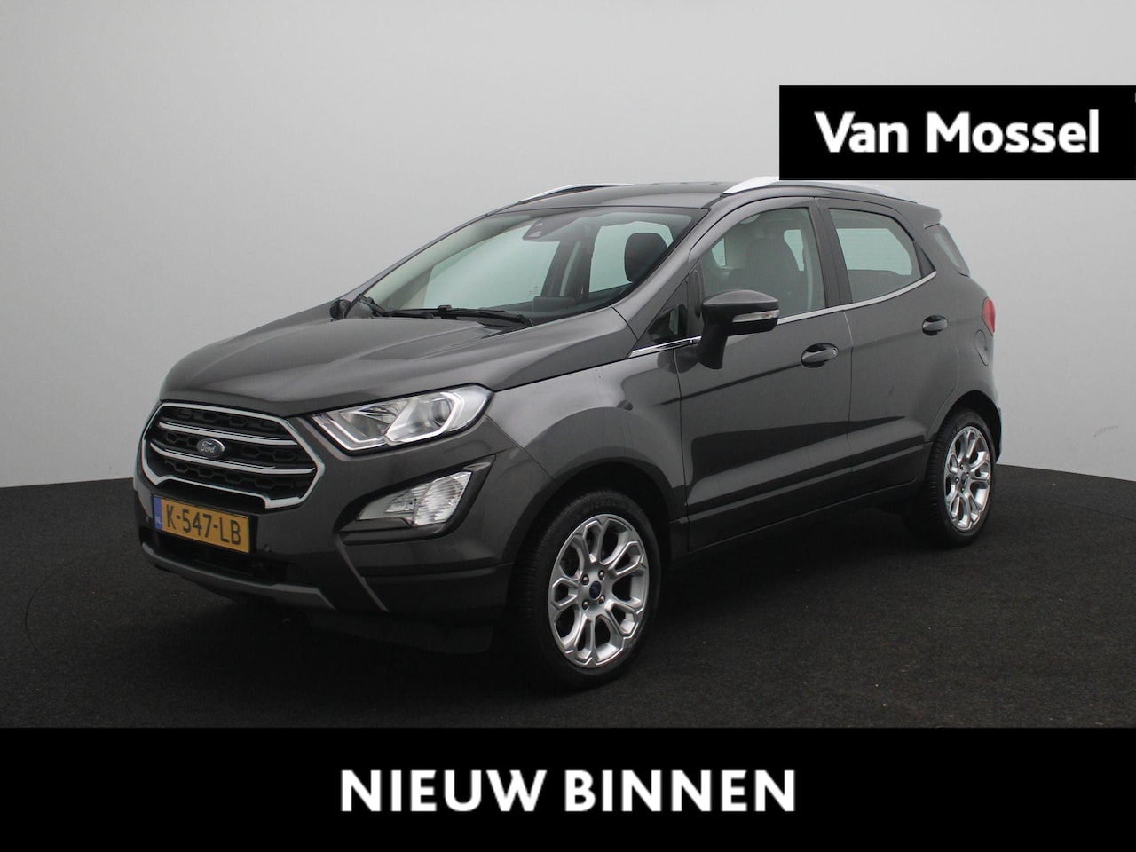 Ford EcoSport - 1.0 EcoBoost Titanium | Apple Carplay/Android Auto | Winter Pakket | Trekhaak | B&O | Came - AutoWereld.nl