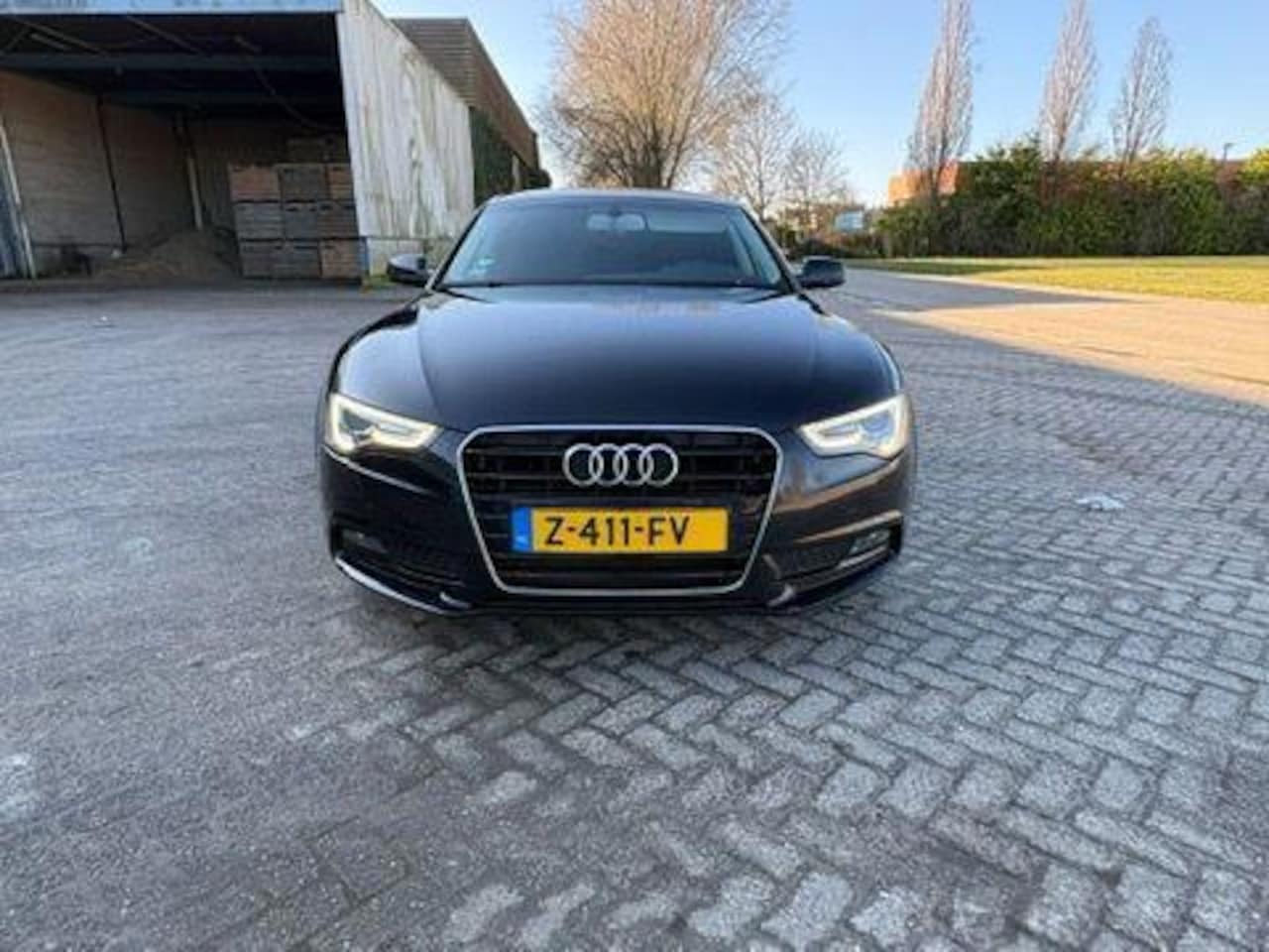 Audi A5 Sportback - 2.0 TDI Pro Line S 2.0 TDI Pro Line S - AutoWereld.nl