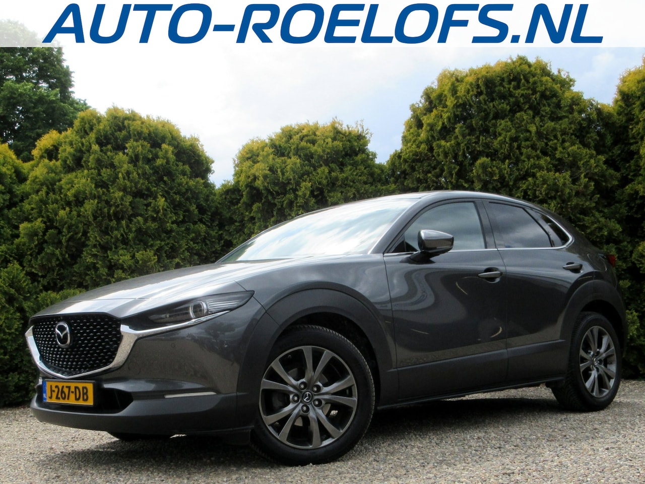 Mazda CX-30 - 2.0 e-SkyActiv-X M Hybrid Luxury * Pano * Trekhaak * - AutoWereld.nl