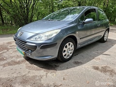 Peugeot 307 - 1.4-16V XS nette auto weinig km